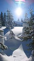 totenasen_20180317_5aad18fc90769.jpg