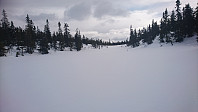 totenasen_20180326_5ab8eaadda44b.jpg