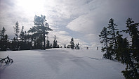 totenasen_20180326_5ab8eaaee62d9.jpg
