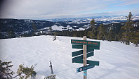 totenasen_20180326_5ab8eaafb375d.jpg
