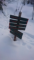 totenasen_20180326_5ab8eab1aa749.jpg