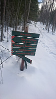 totenasen_20180326_5ab8eab3c63c8.jpg