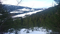 totenasen_20180326_5ab8eab4c005a.jpg