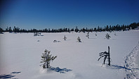 totenasen_20180327_5aba3c1aaed6b.jpg