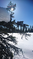 totenasen_20180327_5aba3c1b3eeae.jpg