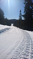 totenasen_20180327_5aba3c1c76d02.jpg