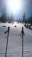 totenasen_20180327_5aba3c1d34596.jpg