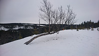 totenasen_20180403_5ac3785648456.jpg