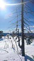 totenasen_20180406_5ac7682bc4af4.jpg