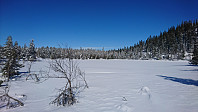 totenasen_20180406_5ac7682c4dc9c.jpg