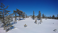 totenasen_20180406_5ac7682ccf60c.jpg