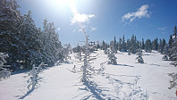 totenasen_20180410_5accab711494e.jpg