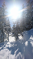 totenasen_20180410_5accab71a66ed.jpg