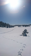 totenasen_20180410_5accab7233e58.jpg