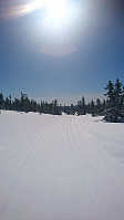 totenasen_20180410_5accab7375962.jpg