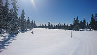 totenasen_20180410_5accab74074b2.jpg