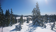totenasen_20180410_5accab748bc06.jpg