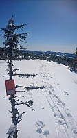 totenasen_20180410_5accab7516644.jpg