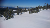 totenasen_20180410_5accab758ff07.jpg