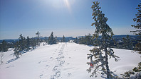 totenasen_20180410_5accab772773a.jpg