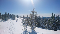 totenasen_20180410_5accab77a7de5.jpg