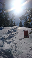 totenasen_20180410_5accab78c2248.jpg