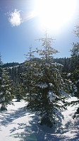 totenasen_20180410_5accab7a10df8.jpg