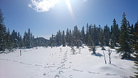 totenasen_20180410_5accab7a92c52.jpg