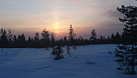 totenasen_20180413_5ad102dcc12d4.jpg