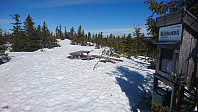totenasen_20180421_5adb30535198f.jpg