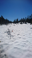 totenasen_20180505_5aed9d3ab3b7e.jpg