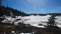 totenasen_20180505_5aed9d3d744d9.jpg