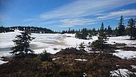 totenasen_20180505_5aed9d3e27433.jpg