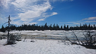 totenasen_20180505_5aed9d41d8716.jpg