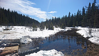 totenasen_20180505_5aed9d4448ee3.jpg
