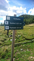 totenasen_20180811_5b6eebddb2342.jpg