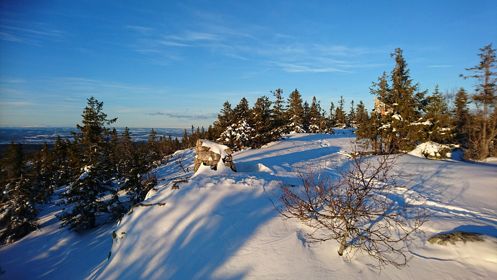 center]
[[image:totenasen_20190110_5c3754d512615.jpg