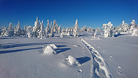totenasen_20190208_5c5d87571c31d.jpg