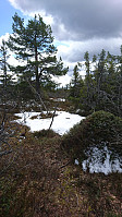totenasen_20190503_5ccc31361d27a.jpg