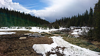 totenasen_20190503_5ccc3137192e1.jpg