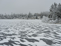 totenasen_20191108_5dc567daf18f5.jpg