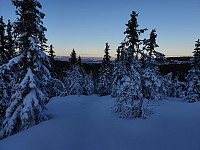 totenasen_20200116_5e207132ef364.jpg