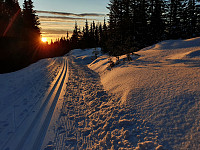 totenasen_20200116_5e2071336ab26.jpg