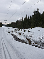 totenasen_20200324_5e7a097aa26c0.jpg