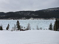 totenasen_20200324_5e7a097b3f289.jpg