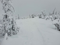 totenasen_20210107_5ff70d19985cc.jpg