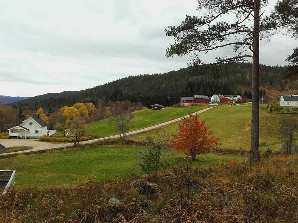 Bygda Øvre Flottorp i høstfarger. her var det stille, men vakkert. Vi starter turen ved å følge vegen oppover til siste gård