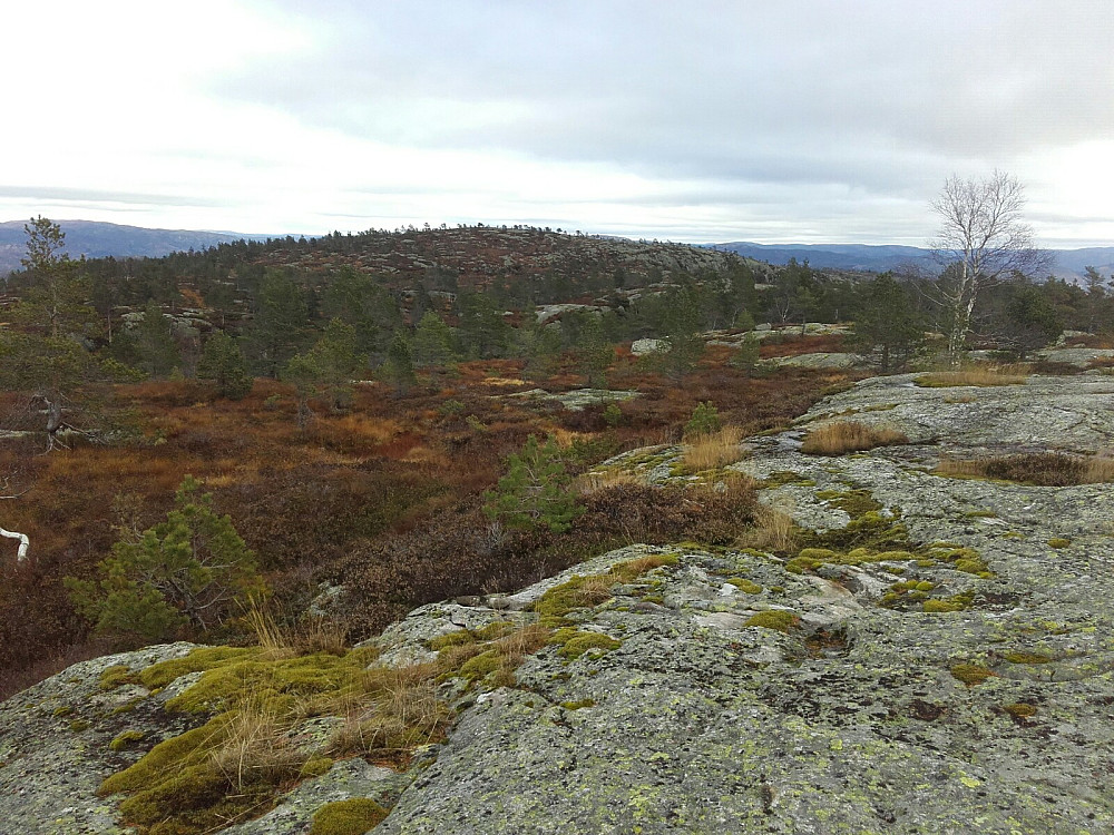 Første blikk mot hovedtoppen på Heddehei fra Kvevehei 
