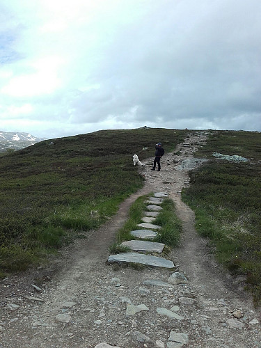 Ikke alltid at hellene fungere slik det var planlagt. Glemte selvsagt å ta bilde av selve stien lengre ned.