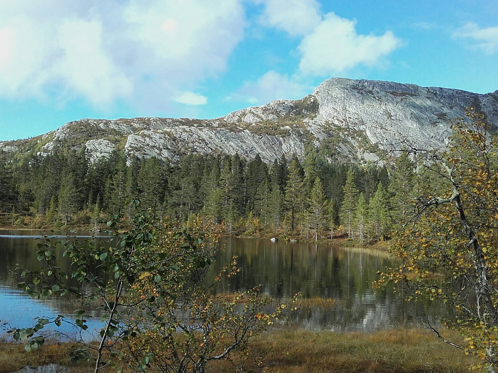 Himingen